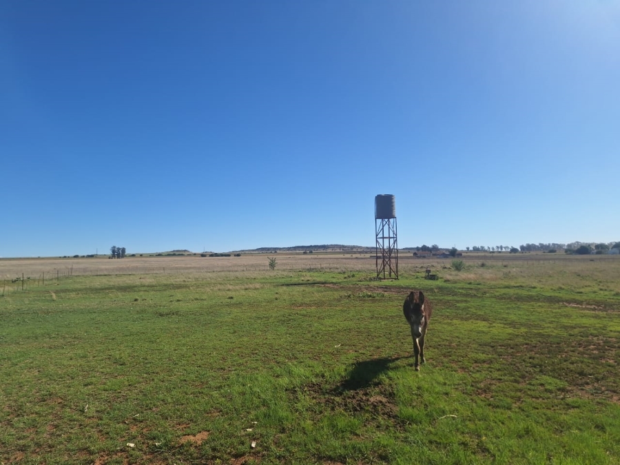 Commercial Property for Sale in Roodewal Free State